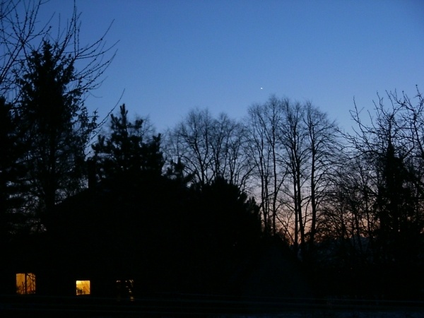 Venuse
