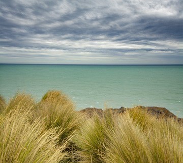 Akaroa Head