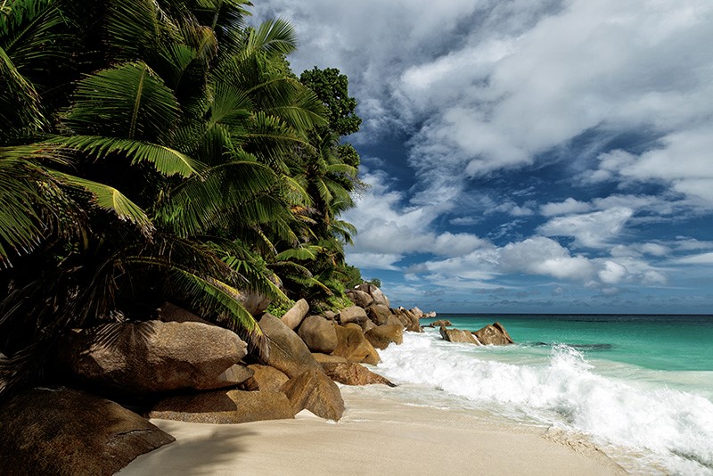 Seychelles beach